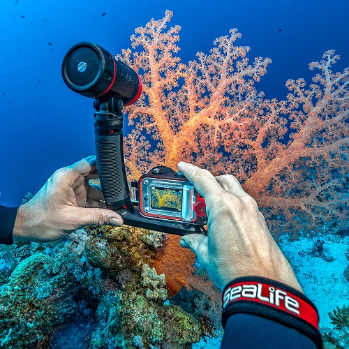 ReefMaster RM-4K UW Camera